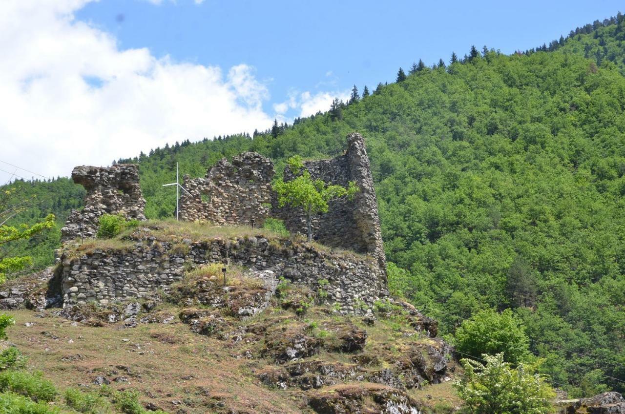 Family Winery And Guesthouse "Kejeradzeebi" Shuakhevi Экстерьер фото